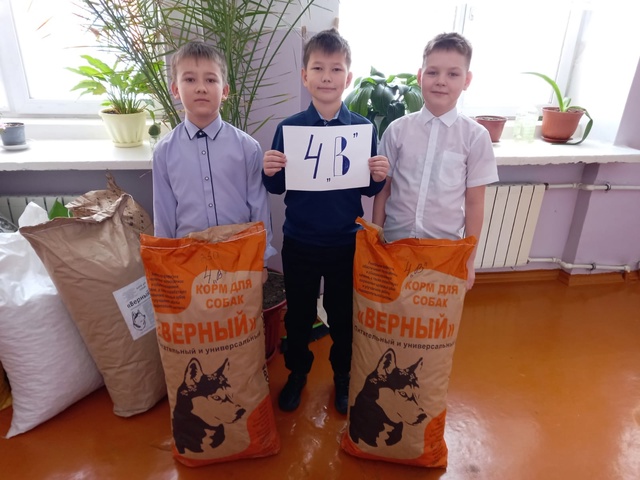 Аукцион добрых дел.